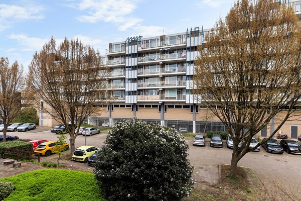 Zadkinerade 17_41.jpg